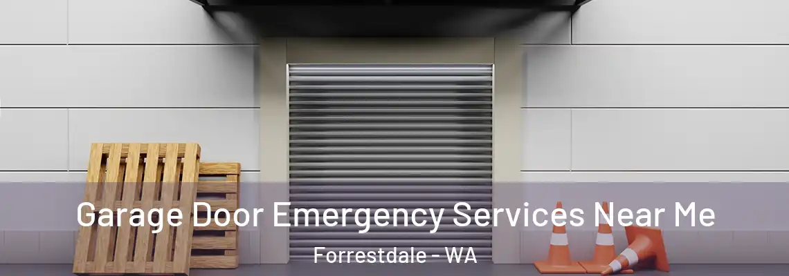 Garage Door Emergency Services Near Me Forrestdale - WA