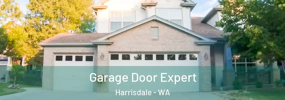 Garage Door Expert Harrisdale - WA