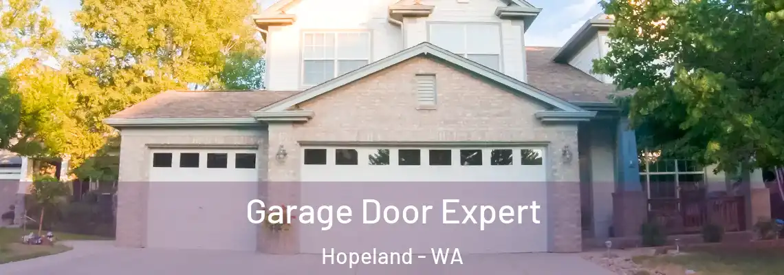 Garage Door Expert Hopeland - WA