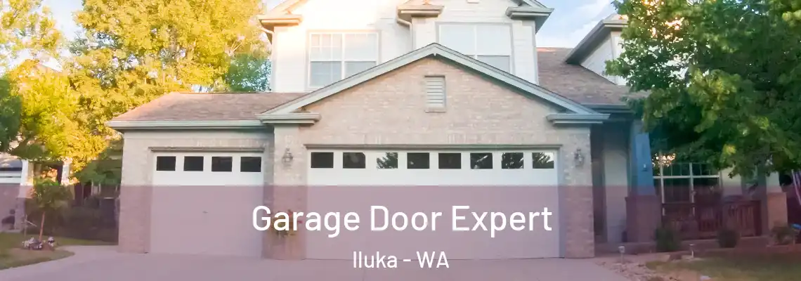 Garage Door Expert Iluka - WA