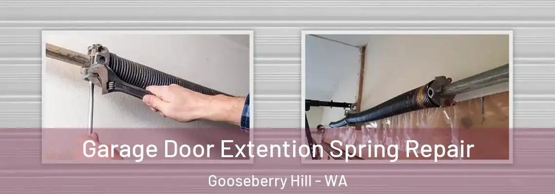 Garage Door Extention Spring Repair Gooseberry Hill - WA