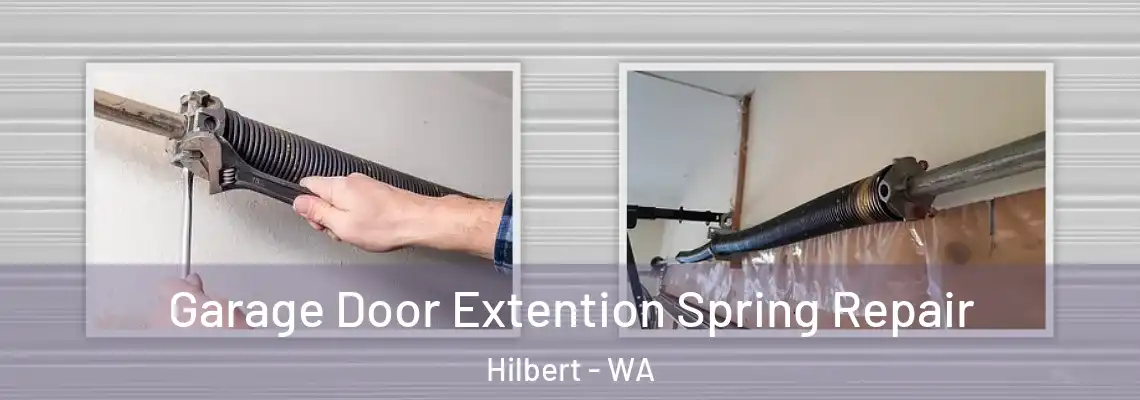 Garage Door Extention Spring Repair Hilbert - WA