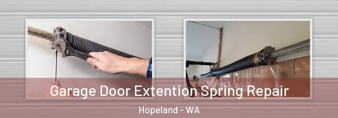 Garage Door Extention Spring Repair Hopeland - WA