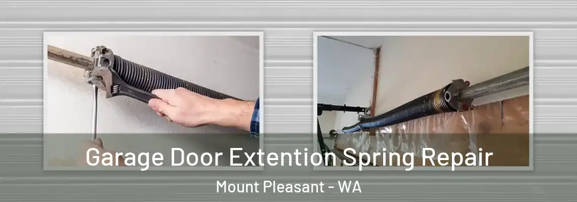 Garage Door Extention Spring Repair Mount Pleasant - WA
