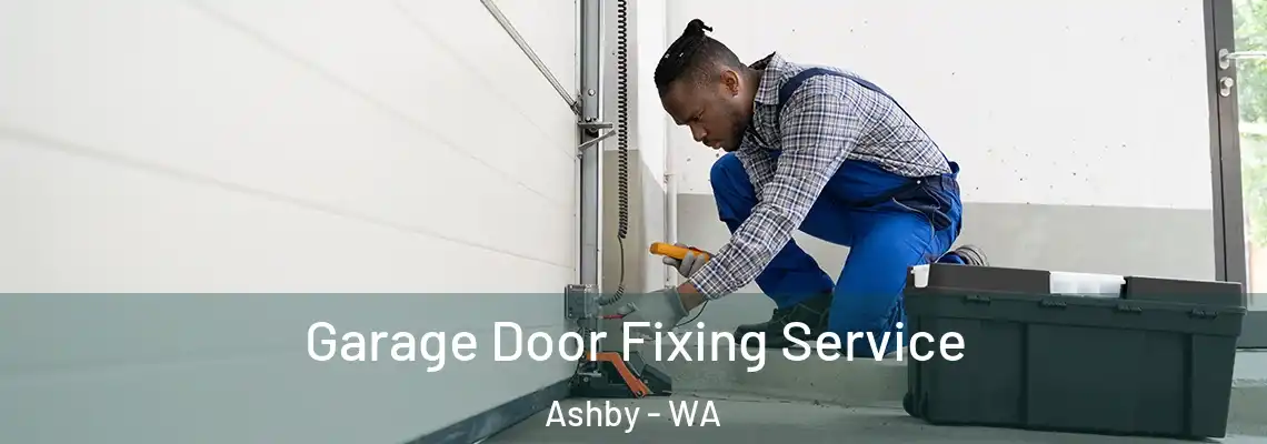 Garage Door Fixing Service Ashby - WA
