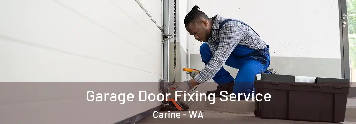 Garage Door Fixing Service Carine - WA
