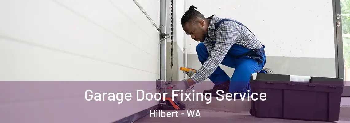 Garage Door Fixing Service Hilbert - WA