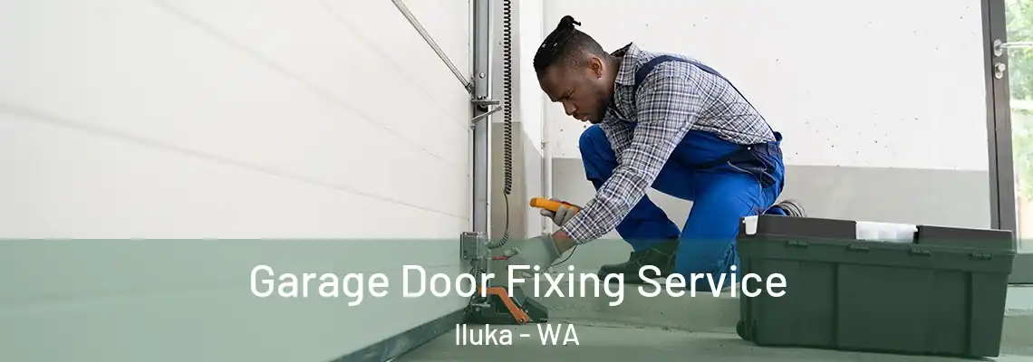 Garage Door Fixing Service Iluka - WA