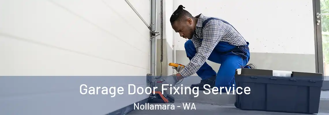 Garage Door Fixing Service Nollamara - WA
