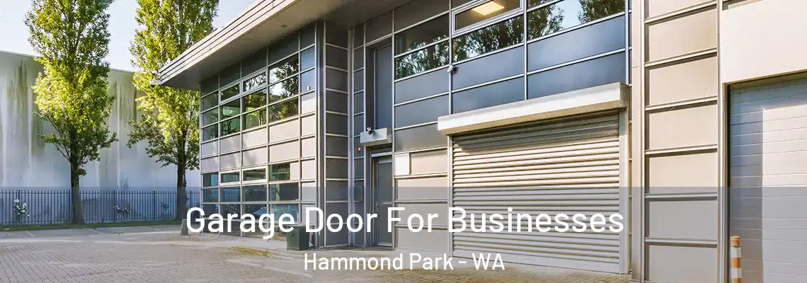 Garage Door For Businesses Hammond Park - WA