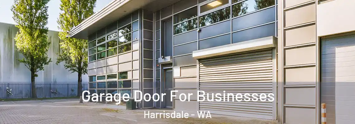 Garage Door For Businesses Harrisdale - WA