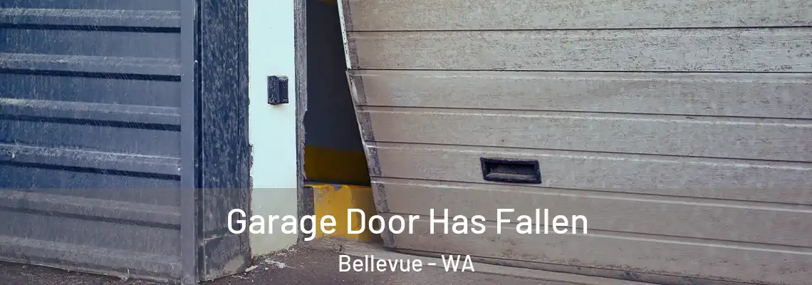  Garage Door Has Fallen Bellevue - WA