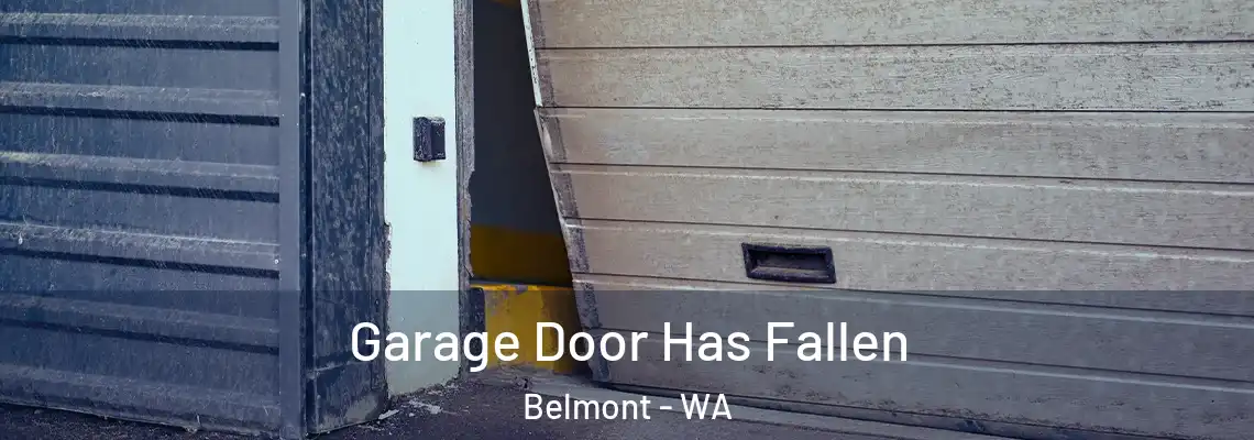 Garage Door Has Fallen Belmont - WA