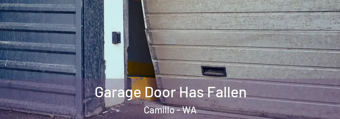  Garage Door Has Fallen Camillo - WA