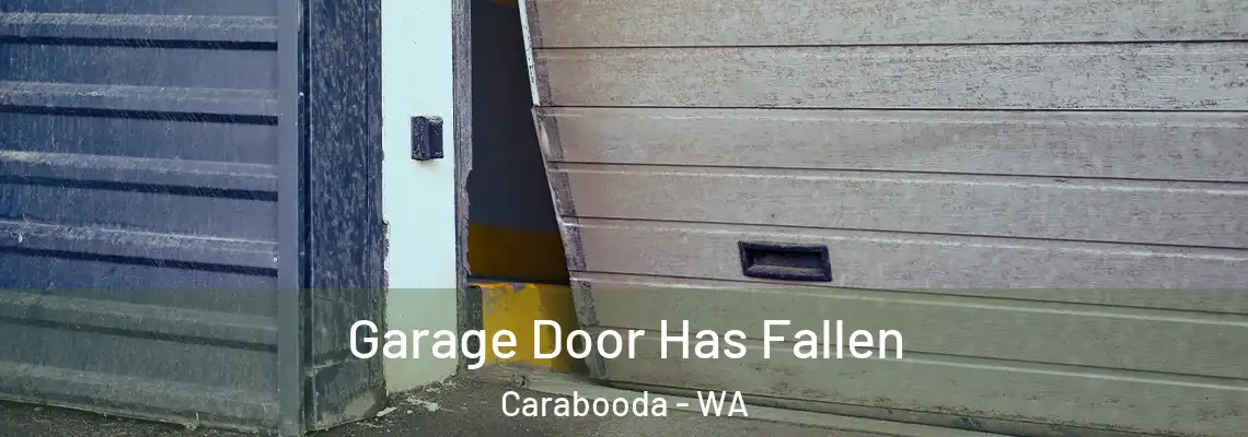 Garage Door Has Fallen Carabooda - WA
