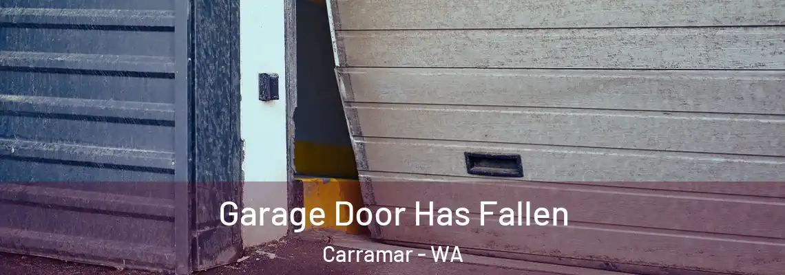 Garage Door Has Fallen Carramar - WA