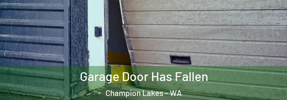 Garage Door Has Fallen Champion Lakes - WA