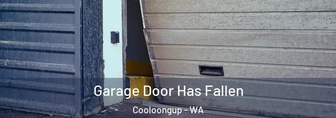 Garage Door Has Fallen Cooloongup - WA