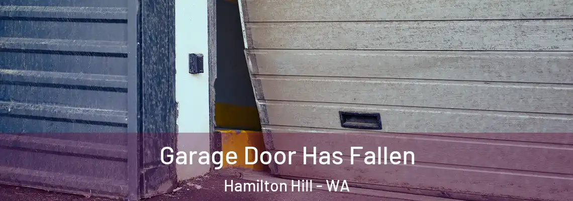 Garage Door Has Fallen Hamilton Hill - WA