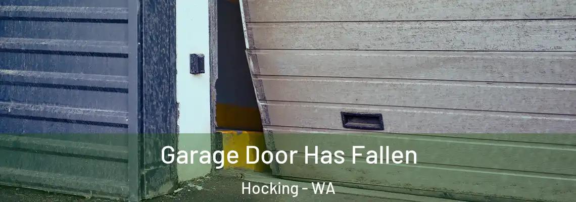 Garage Door Has Fallen Hocking - WA
