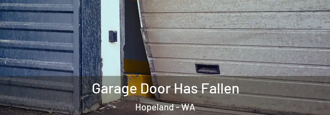  Garage Door Has Fallen Hopeland - WA