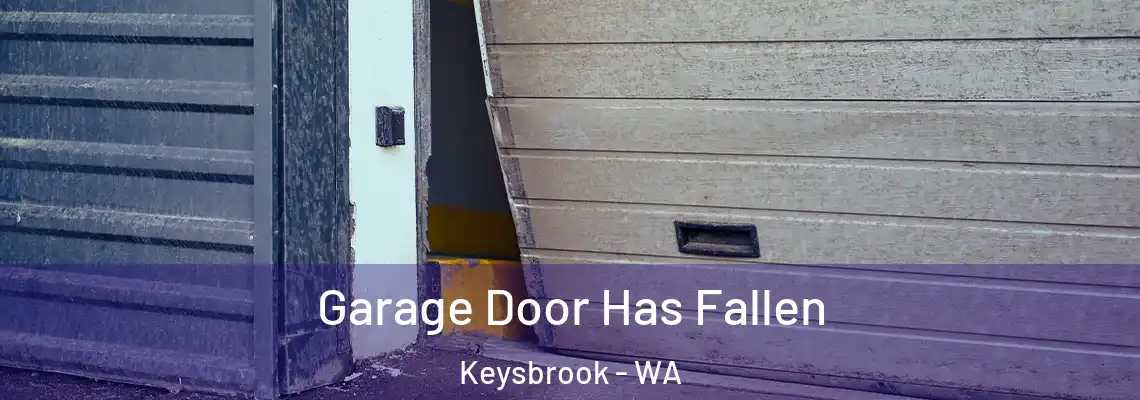 Garage Door Has Fallen Keysbrook - WA