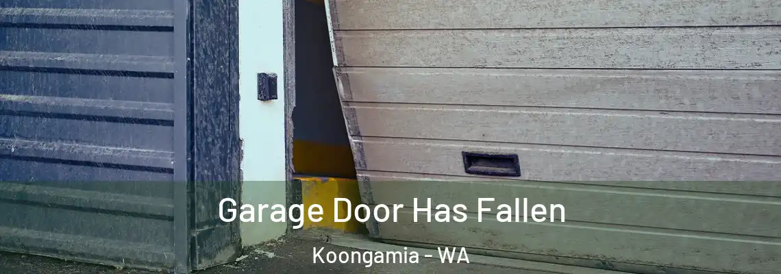 Garage Door Has Fallen Koongamia - WA