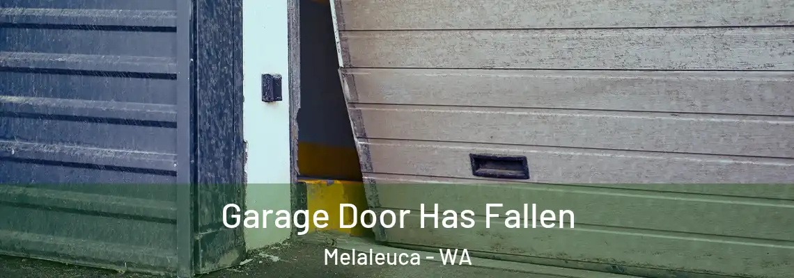  Garage Door Has Fallen Melaleuca - WA