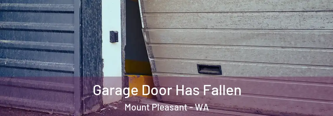 Garage Door Has Fallen Mount Pleasant - WA