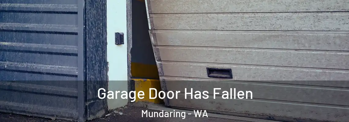 Garage Door Has Fallen Mundaring - WA