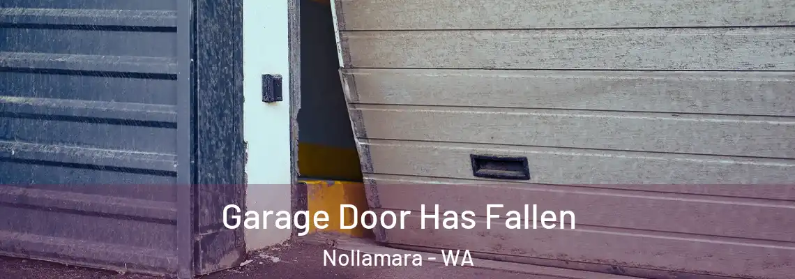 Garage Door Has Fallen Nollamara - WA