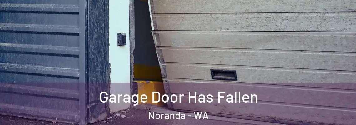 Garage Door Has Fallen Noranda - WA