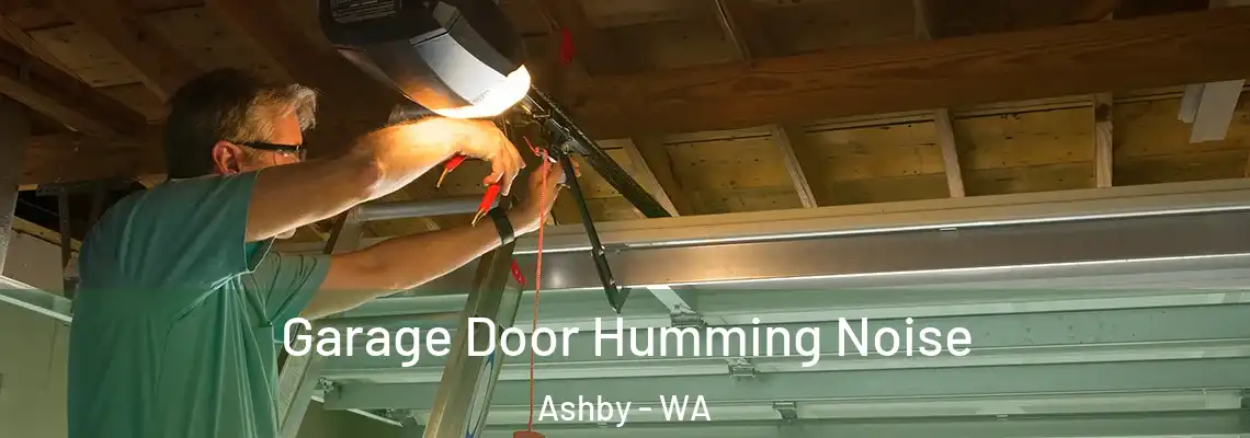 Garage Door Humming Noise Ashby - WA