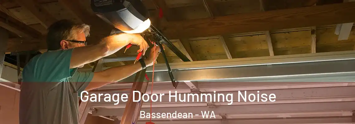 Garage Door Humming Noise Bassendean - WA