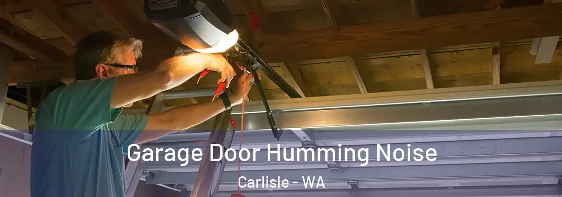 Garage Door Humming Noise Carlisle - WA