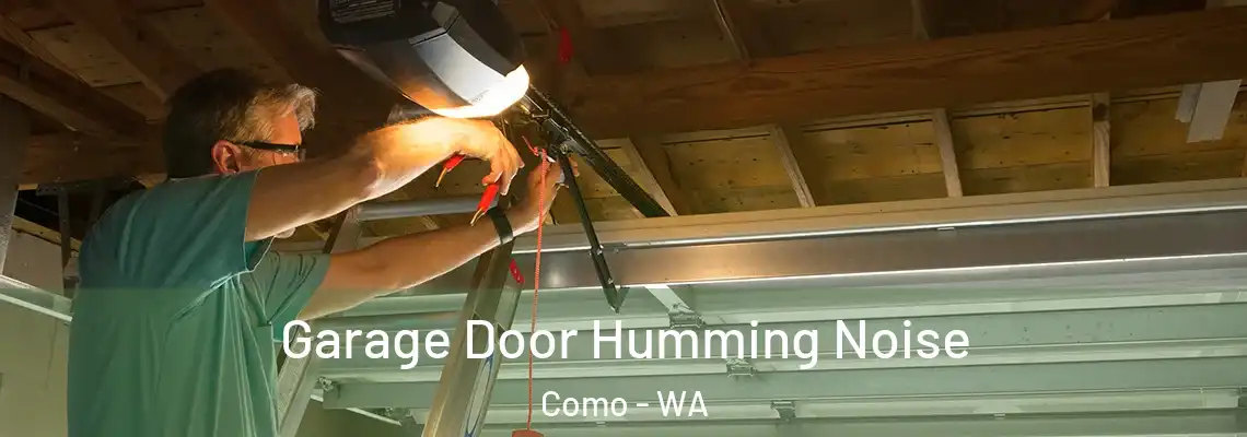 Garage Door Humming Noise Como - WA