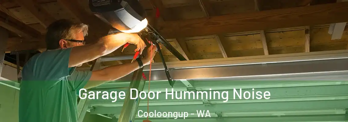 Garage Door Humming Noise Cooloongup - WA