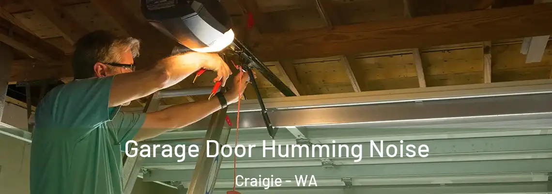 Garage Door Humming Noise Craigie - WA