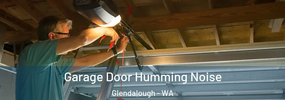 Garage Door Humming Noise Glendalough - WA