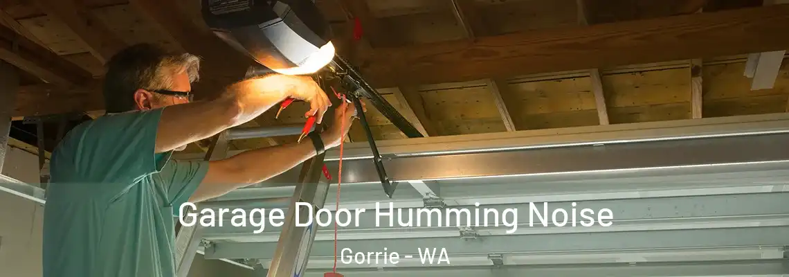 Garage Door Humming Noise Gorrie - WA