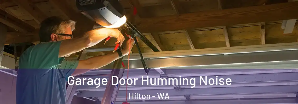 Garage Door Humming Noise Hilton - WA