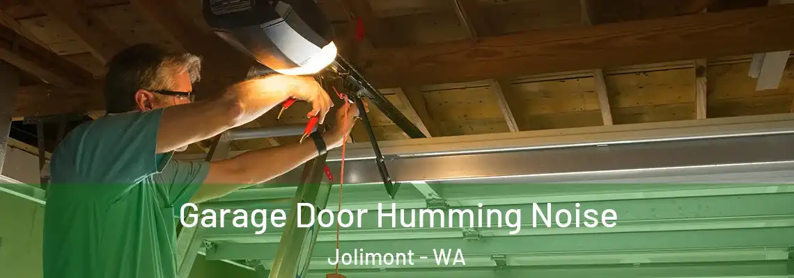 Garage Door Humming Noise Jolimont - WA