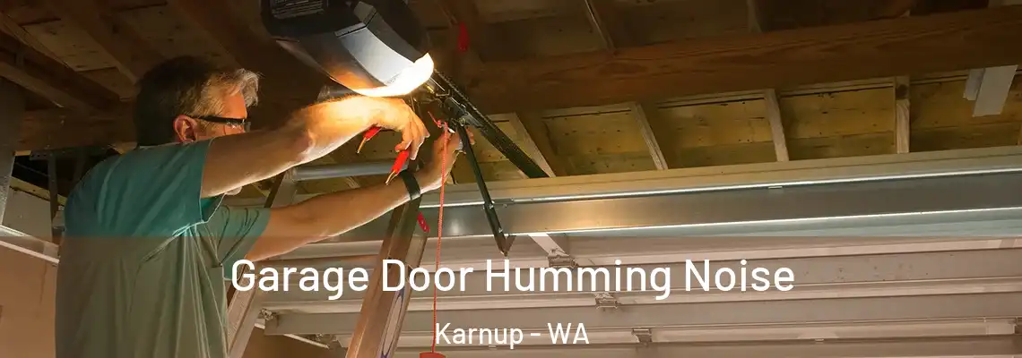 Garage Door Humming Noise Karnup - WA