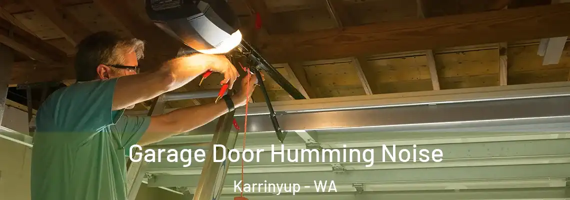 Garage Door Humming Noise Karrinyup - WA