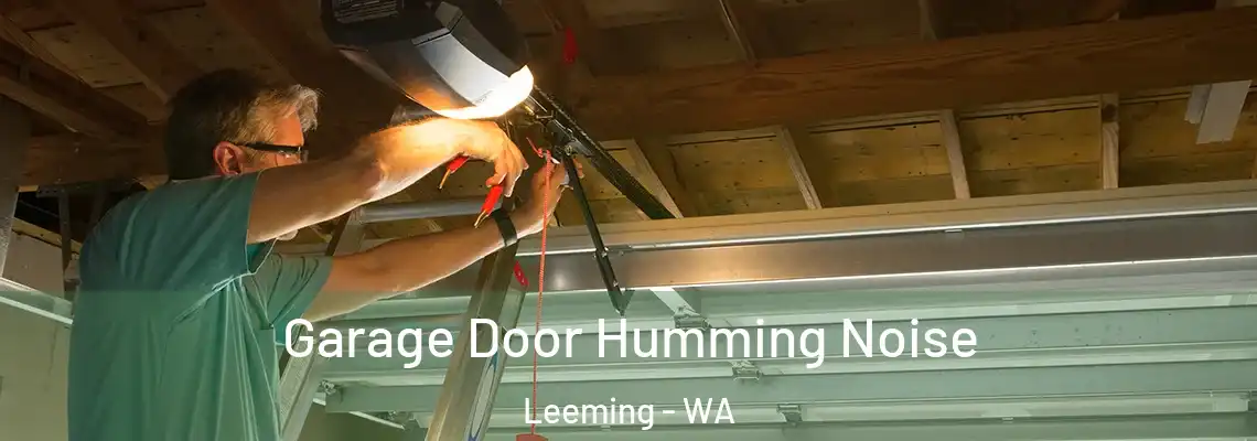 Garage Door Humming Noise Leeming - WA