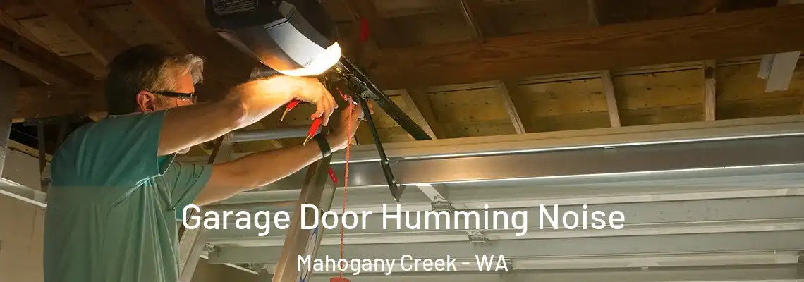 Garage Door Humming Noise Mahogany Creek - WA