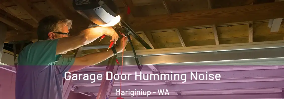 Garage Door Humming Noise Mariginiup - WA