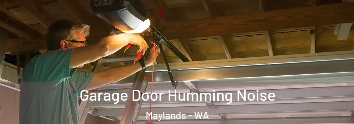 Garage Door Humming Noise Maylands - WA