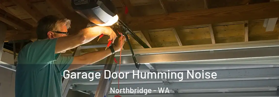  Garage Door Humming Noise Northbridge - WA