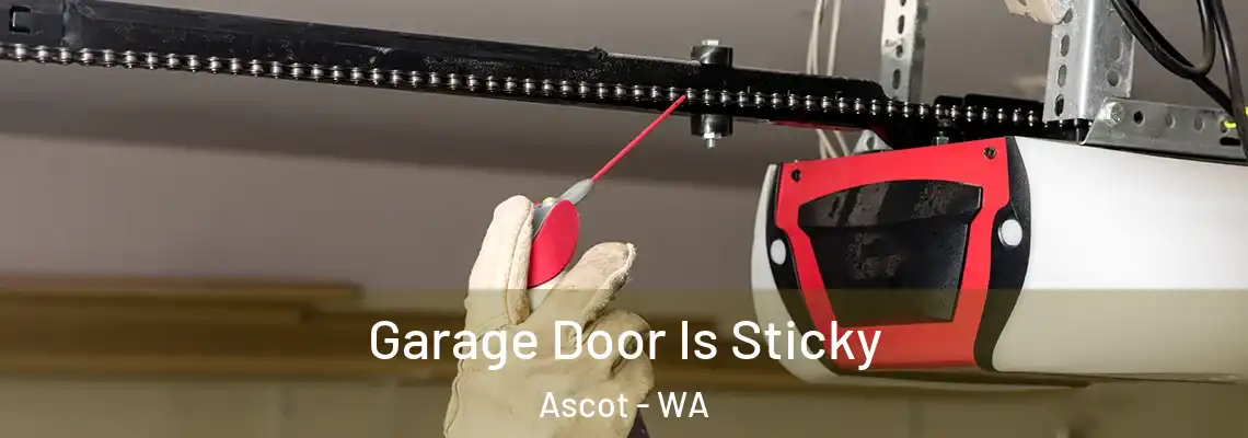 Garage Door Is Sticky Ascot - WA